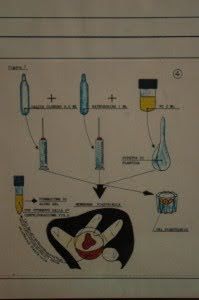 Metodica per la preparazione del plasma arricchito di piastrine (PRP) 1 Metodica per la preparazione del plasma arricchito di piastrine (PRP)